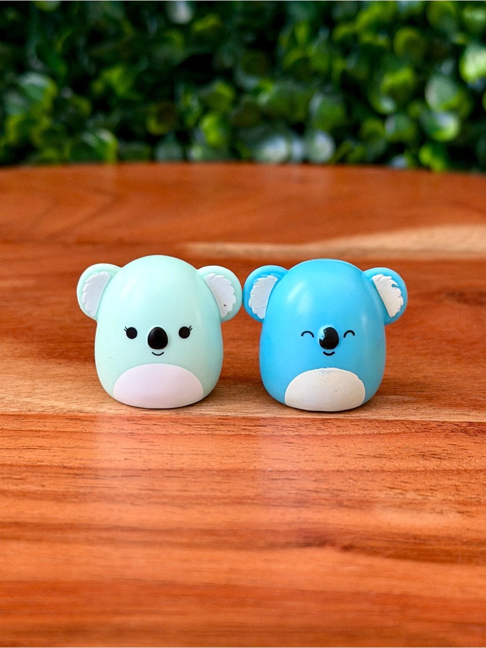 Squish-a-longs by Squishmallows Koala Bundle